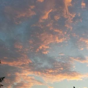 Meet your Posher, Marsha